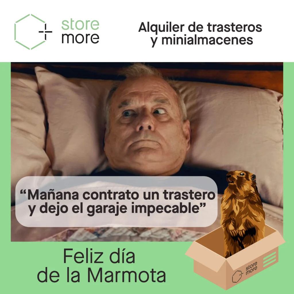 Ilustración del Día de la Marmota para hablar de orden y espacio en casa
